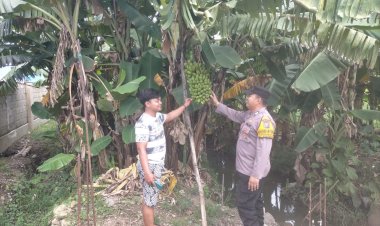 Kapolsek-Sukodono-Dampingi-Warga-Kelola-Lahan-P2B-di-Desa-Pekarungan