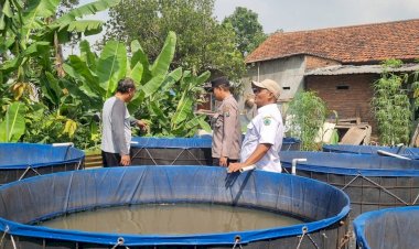Bhabinkamtibmas-Kedungturi-Tinjau-Pemanfaatan-Lahan-Ketahanan-Pangan-Polresta-Sidoarjo-untuk-Pembesaran-Lele